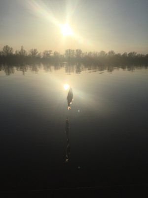 image-16-06-16-11-59