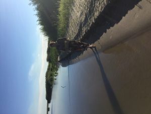 IMG_1881-19-03-17-09-45