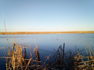 IMG-8713207905bc36a3d1a0efe8757ae1b4-V